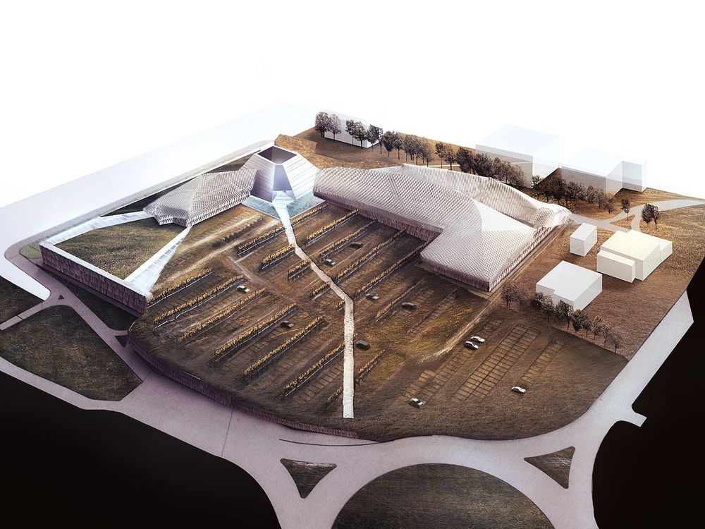 The roof and the vineyard embankment, in the study model